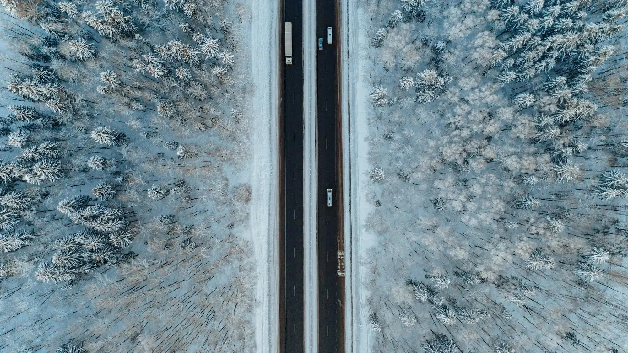 Building Supply Chain Resilience: Digital Tools & Freight Disruptions